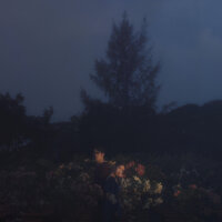 Hummingbird - Charlie Lim & Linying & Linying