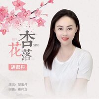 杏花落 - 胡蜜丹 & DJheap九天