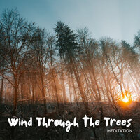 Peaceful Ambience - Nature Calm & Nature Vibrations & Native American Nature