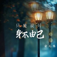只能说句身不由己 - 安儿陈