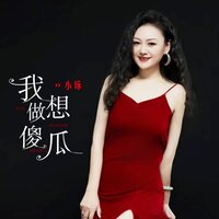 我想做傻瓜 - 小琢