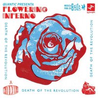 Alegria en Bella Vista - Quantic & Flowering Inferno