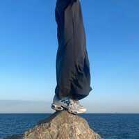 Kieler Sprotte - Shlomes