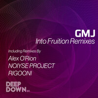 Into Fruition - Gmj & RIGOONI