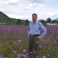 想牵着你的手 - 黄峥