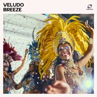 Moonlit Love - Bossa Nova Nouveau & Bossanova Jazz Ensemble & Smooth Bossa Nova Zone & Jazz Bossa Nova