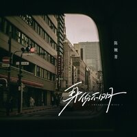 身份不明 - 陈婉菁