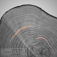 Confused - Himbrecht