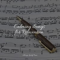 Sun Soaked Melody - Easy Listening Piano & Smart Baby Academy & Exam Study Classical Music