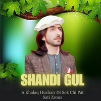 A Khalaq Hushair Di Sok Chi Pat Sati Zrona - Shandi Gul