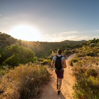 Rasgueos De Relajación - Musica Relajante de Guitarra Sociedad & Vibraciones Tranquilas & Relajantes sonidos de lluvia