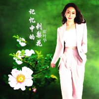 记忆中的刺梨花 - 崔叶华