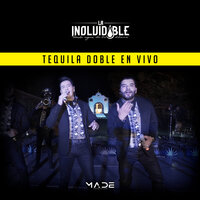 Mi Vida Sin Ti (En Vivo) - La Inolvidable Banda Agua de la Llave