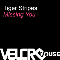 Missing You - Tiger Stripes & Mr.V Sole Channel