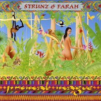 Anochecer (Nightfall) - Strunz & Farah