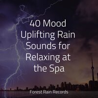 Trickling Rains into Drains - Entspannungsmusik & Música Zen Relaxante & Rain