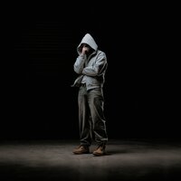 Повод - TrankWill