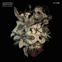 Going Down - Adam Beyer & Dense & Pika