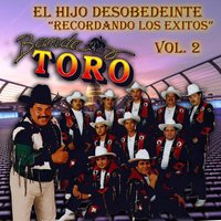 Cumbia Con Opera - Banda Toro