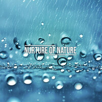 Night Rain - Nurture of Nature