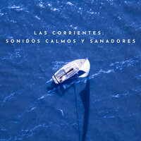 Píldora Sin Daños - Agua Mantra & Sonidos De La Selva & Reiki Armonía