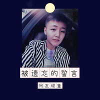 被遗忘的誓言 - 网友顽童 & Dj沈念