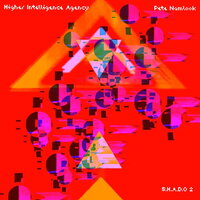 Countless - Higher Intelligence Agency & Pete Namlook