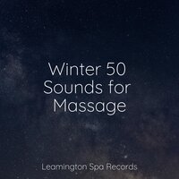 Lucid - Zen Music Garden & Massagem Coleção de Músicas & Rainfall