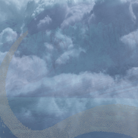 Autumn into Summer - Pelican