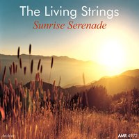 Blue Champagne - Living Strings