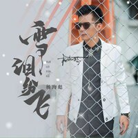 雪泪纷飞 - 杨海彪 & 楊海彪