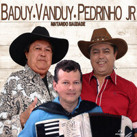 Vou Buscar Meu Bem - Pedrinho Jr & Baduy & Vanduy