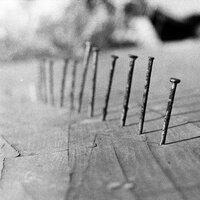 Hunt - Blind Seagull