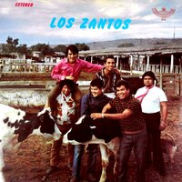 Te Fuiste - Los Zantos & José Jiménez & Arturo Renteria & Manuelo Estudillo & Jose Fonseca