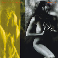 Native Heart - Tony Williams