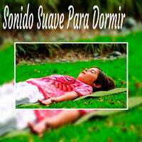 Naturaleza - Sonido Suave