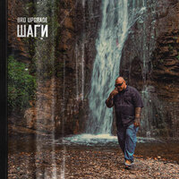 Шаги - Bro Upgrade