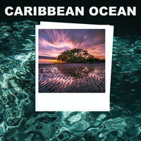 Ambient Waves for Dreams - Loopable with No Fade - Ocean Wave Sounds & Caribbean Ocean