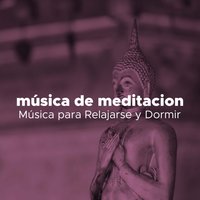 Saludo al Sol - Woman Motley