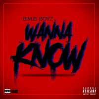 Wanna Know - BMB Boyz & Fool Boy Marley & Antt Beatz & Dre Butterz