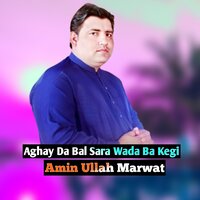 Aghay Da Bal Sara Wada Ba Kegi - Amin Ullah Marwat