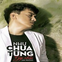 Như Chưa Từng Gặp Nhau - Lam Truong