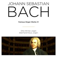 Toccata & Fugue in D Minor, BWV 538 "Dorian" - Otto Winter & Johann Sebastian Bach