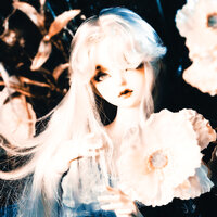 LIGHT SORROW - NEIRU & LQMIEXD