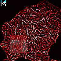 What if the dead dream - Agoria & Ela Minus & Quentin Sirjacq