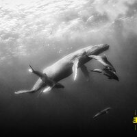 All I Have - Kevin Hays & Lionel Loueke