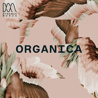 Light Breaks Through - John William