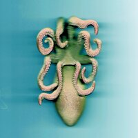 Himmelfahrten - Die Wilde Jagd