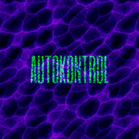 Autokontrol - Gendered Dekonstruktion