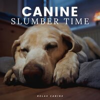 Paws Unwind - Calm Dog Music